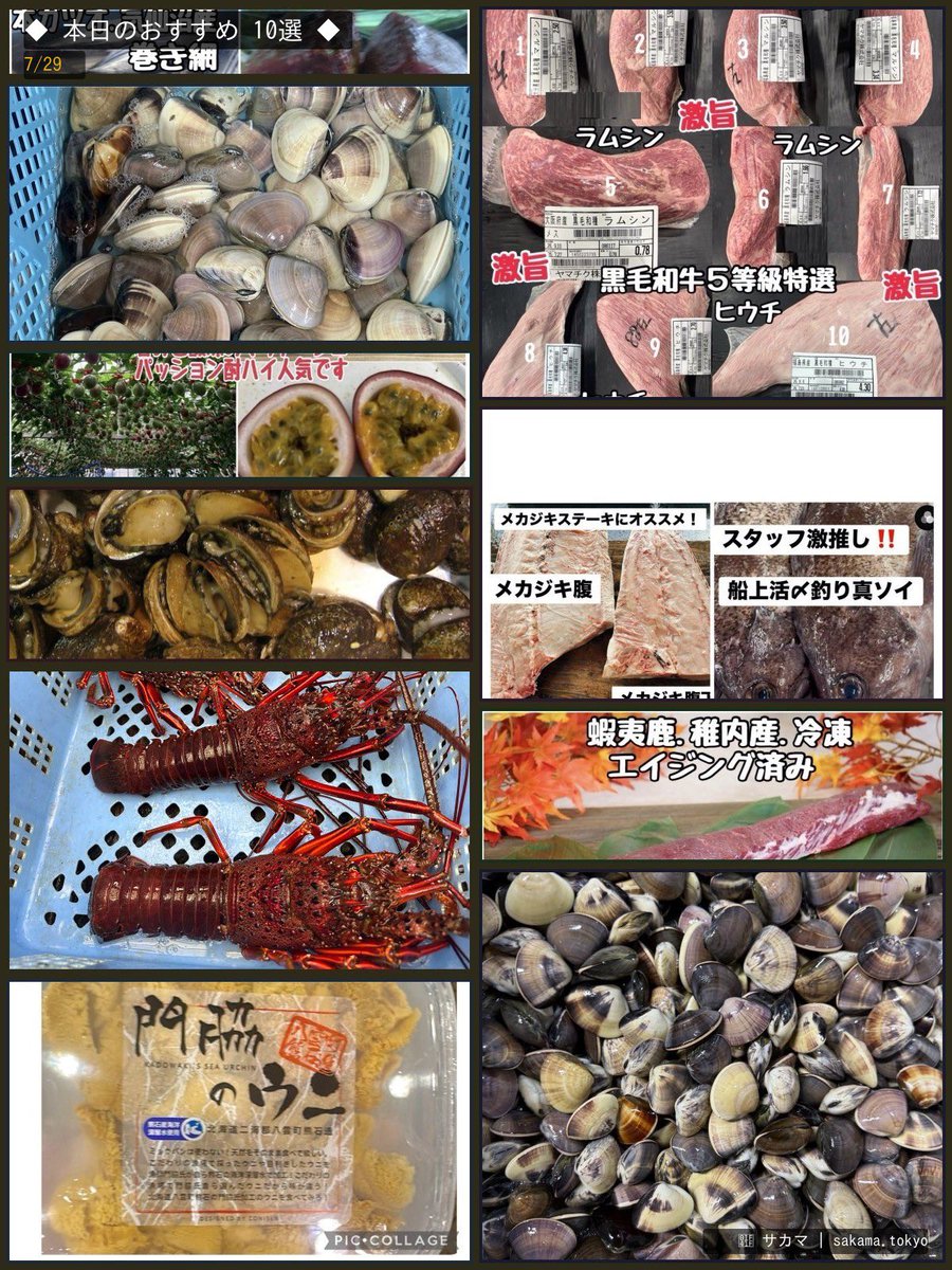 sakamainc's tweet photo. 2026年7月29日のおすすめ 10選
1.特売！本ガツオ　ポ…
2.黒毛和牛5等級特選
3.九十九里産　天然は…
4.マソイ　オススメ
5.パッションフルーツ…
6.新鮮その日採れたて…
7.稚内産冷凍蝦夷鹿　…
他3品
サカマアプリで詳細をチェック
#サカマ #鮮魚 https://t.co/BI7Ll9hxeE