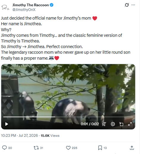 JOHN200977's tweet photo. What do we know about $JIMOTHEA?  

  The official Jimothy account just confirmed that $JIMOTHEA is Jimothy's real mom. 🦝📷  

And the top holder has been stacking $JIMOTHEA nonstop.  

  Looks like $JIMOTHEA might be the next runner.
   2kXrA6YuuBPcP8TeBrNFULv7RJwpmPHR3z6K3ebepump   

grabbed a bag