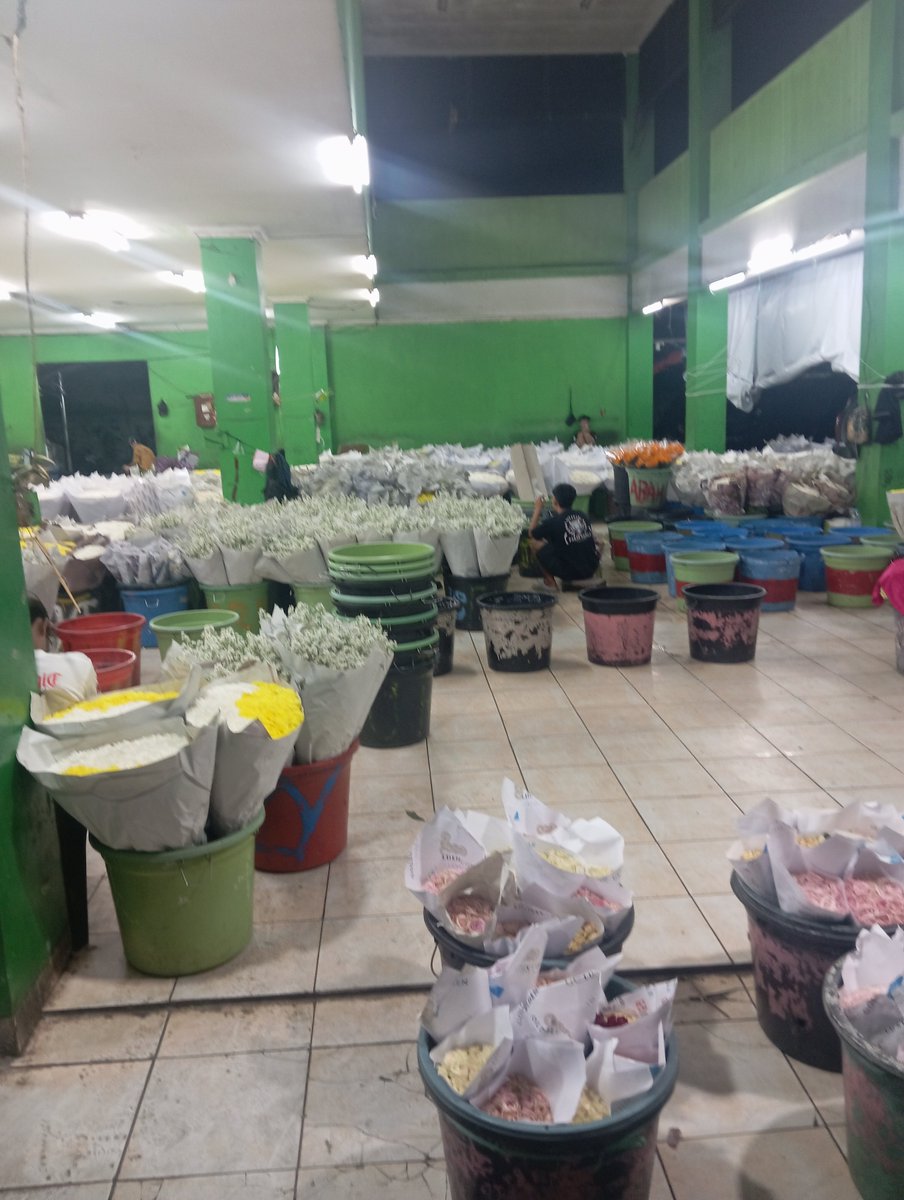 KYOTOTORONTO's tweet photo. hunting bunga sepulang kerja https://t.co/5GVLvDLFJK