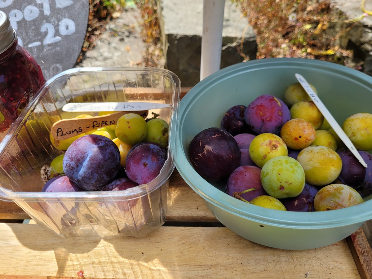 dovecotenursery's tweet photo. Just add pie. Cooking apples and lots more fruit 😋 and stir fry trays #anglesey #local #seasonal #chef https://t.co/T57azyW7xM