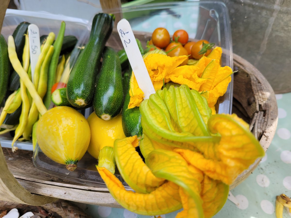 dovecotenursery's tweet photo. Just add pie. Cooking apples and lots more fruit 😋 and stir fry trays #anglesey #local #seasonal #chef https://t.co/T57azyW7xM