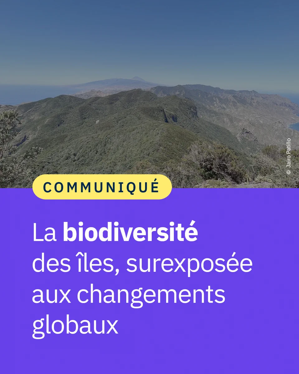 La biodiversité des îles, surexposée aux changements globaux