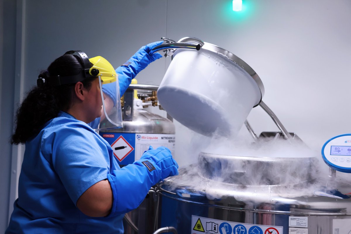 HospitalLaFe's tweet photo. 🏥@BiobancoLaFe obtiene la acreditación UNE-EN ISO 20387 que  certifica la máxima calidad en la gestión de muestras para investigación. ¡Enhorabuena a los compañeros y compañeras de nuestro Biobanco!

📎https://t.co/nwd1EFJQKd
#SomosLaFe #Biobanco https://t.co/hJ3a8e68vT