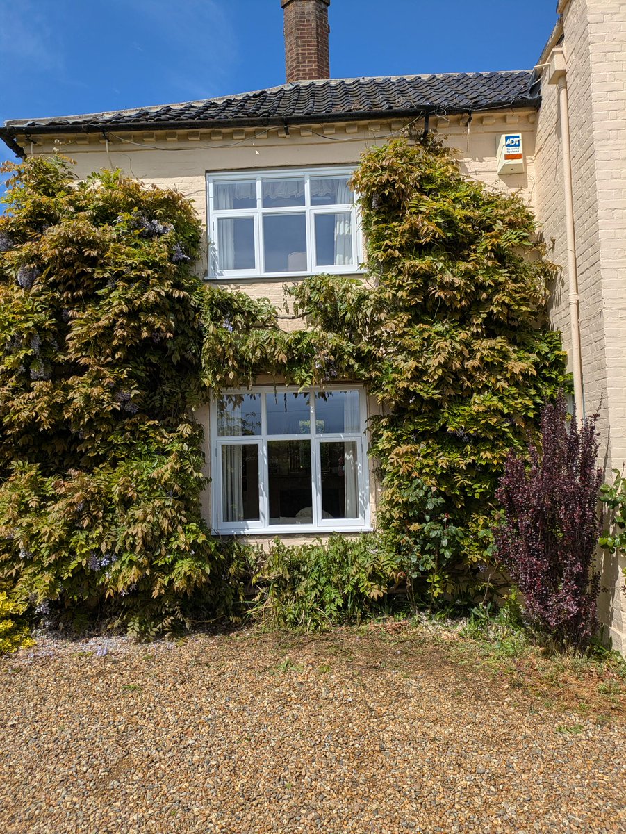 HarlestonJoiner's tweet photo. These 5x beautiful windows have recently been made and fitted by ourselves. 
Fitted to this Grade 2 listed property, the house will now benefit from draught sealed &amp; slimline double glazed Windows. 
Made in Hardwood to give great durability. 
😃 https://t.co/JQ715xpbhC