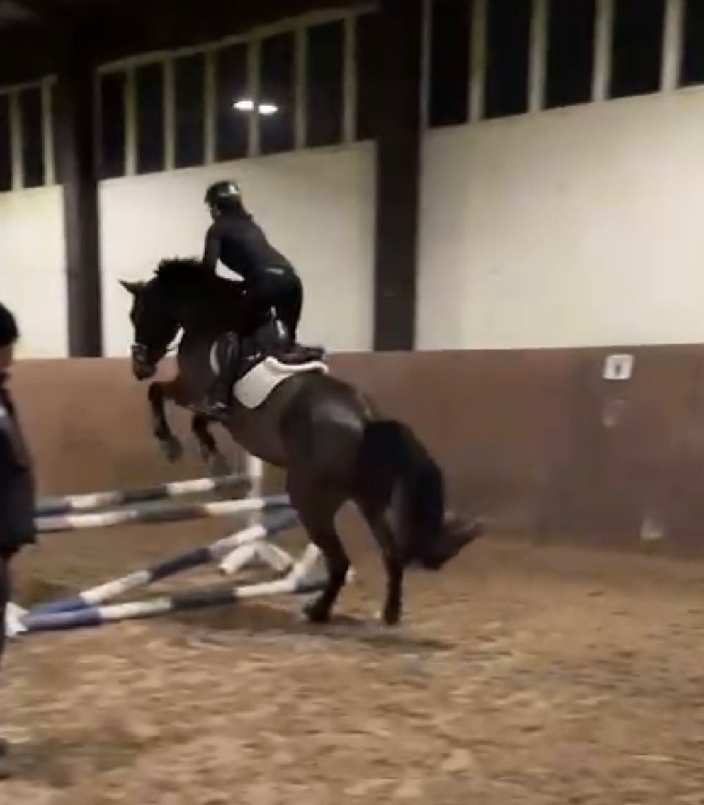 jumpingprinceqk's tweet photo. Heute hat die liebe @juleholzfotografie wunderschöne Bilder von uns gemacht 🥰 oder was sagt ihr?

Danke auch an @alexandra_enzenross das du uns so viel geholfen hast.
Bald zeige ich euch noch ein paar Bilder. 

#liebe #quitekannan #glücklich #familytime❤️ https://t.co/d1cqLxlD4Q