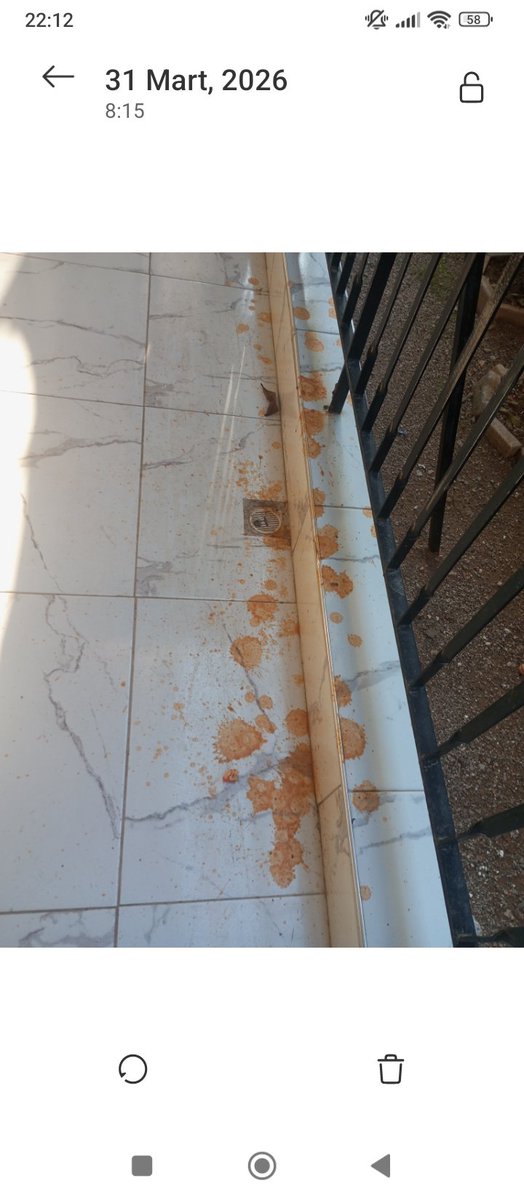 bilgekdn's tweet photo. Yani şu şekilde örnek verelim  laftan anlamayan anlayışsız kıt akıllı polis çağırsanda mahkemeye versende hakında sürekli şikayet edilsede kulağından girip götünden çıkan ben istediğimi yaparım havasıyla yaşayanlar var https://t.co/TTpRpL9RwA