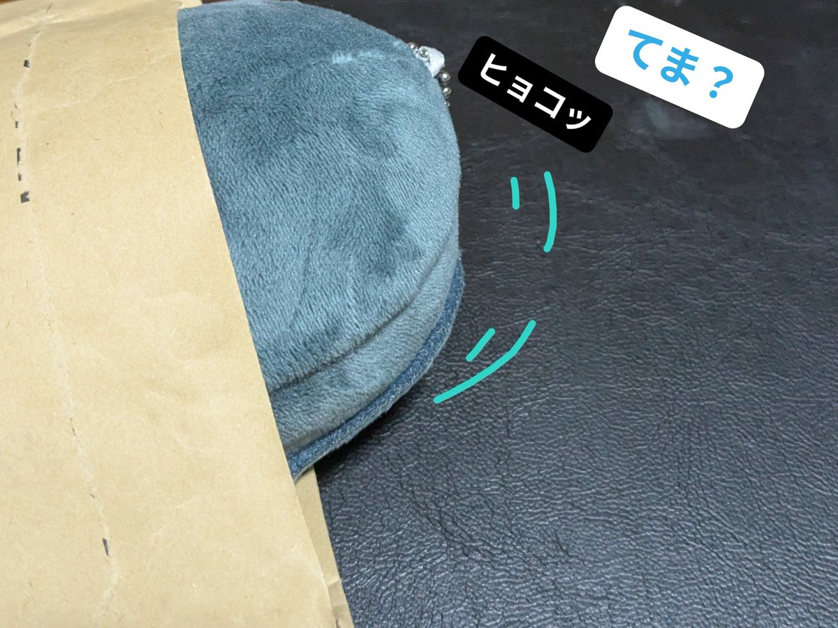MJMPMPGD's tweet photo. びえええん‼️ここどこ？…誰？あなたがあたらしいぷおゆーさー？
やったねこれからてまちゃんをよろしくね！
てまちゃんでい‼️ https://t.co/BcO9SXxVuW