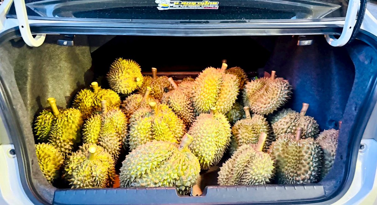 beezii49's tweet photo. มา ๆ คับ ไป 1M กัน เปิดท้าย แjก durian 2 คน ค่าบ  ทำตาม กติกา ทั่วไปได้เยย sุ่มจาก 🔄 น้าา

#HeartboundSeries
#PerthSanta #StreamforPS

Heartbound สุดทางหัวใจ | GMMTV 2026 https://t.co/diRJXOMFNf… ผ่าน @YouTube https://t.co/5pImatwvG2