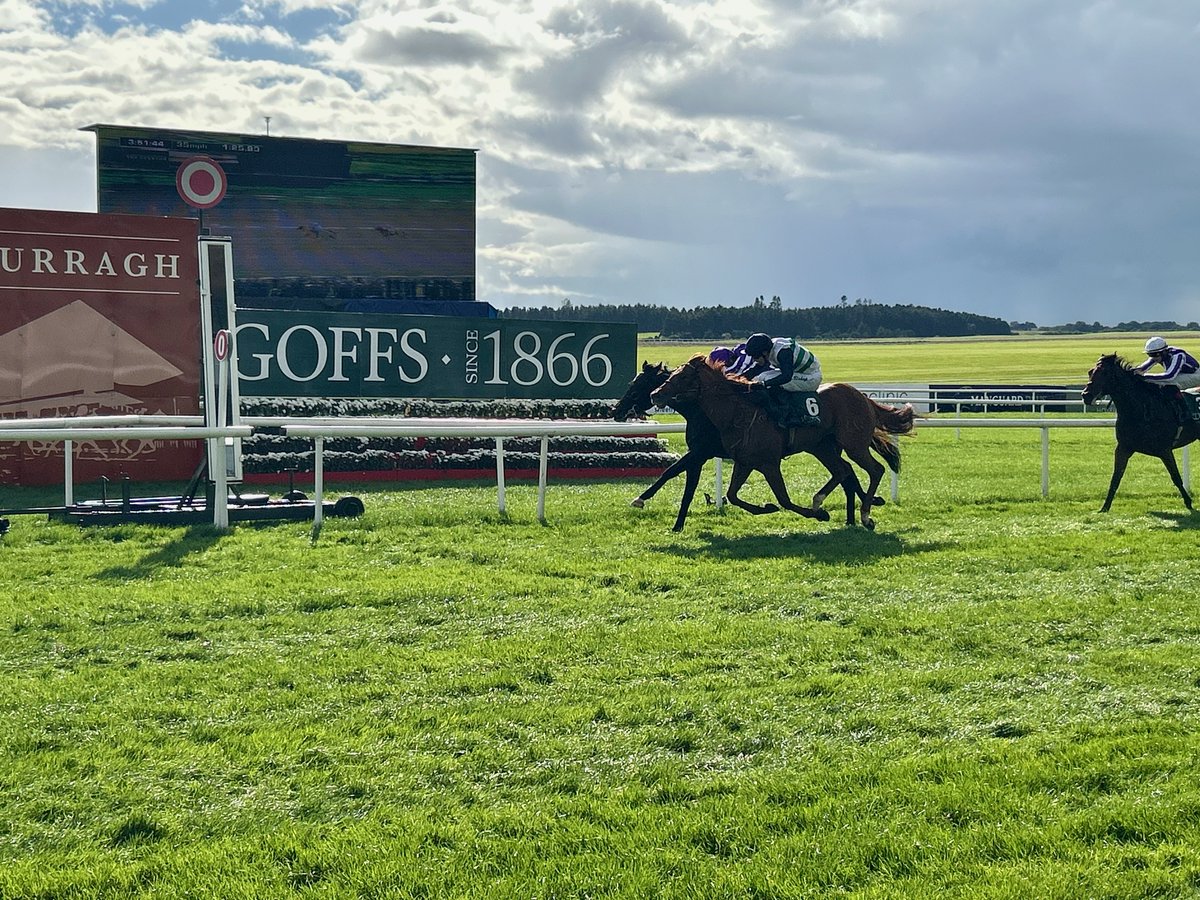 patternracing's tweet photo. Sussex Stakes (Group 1)

https://t.co/qvUVRbrSxQ 
@Goodwood_Races #SussexStakes
#GloriousGoodwood https://t.co/6bD6mn6JqK