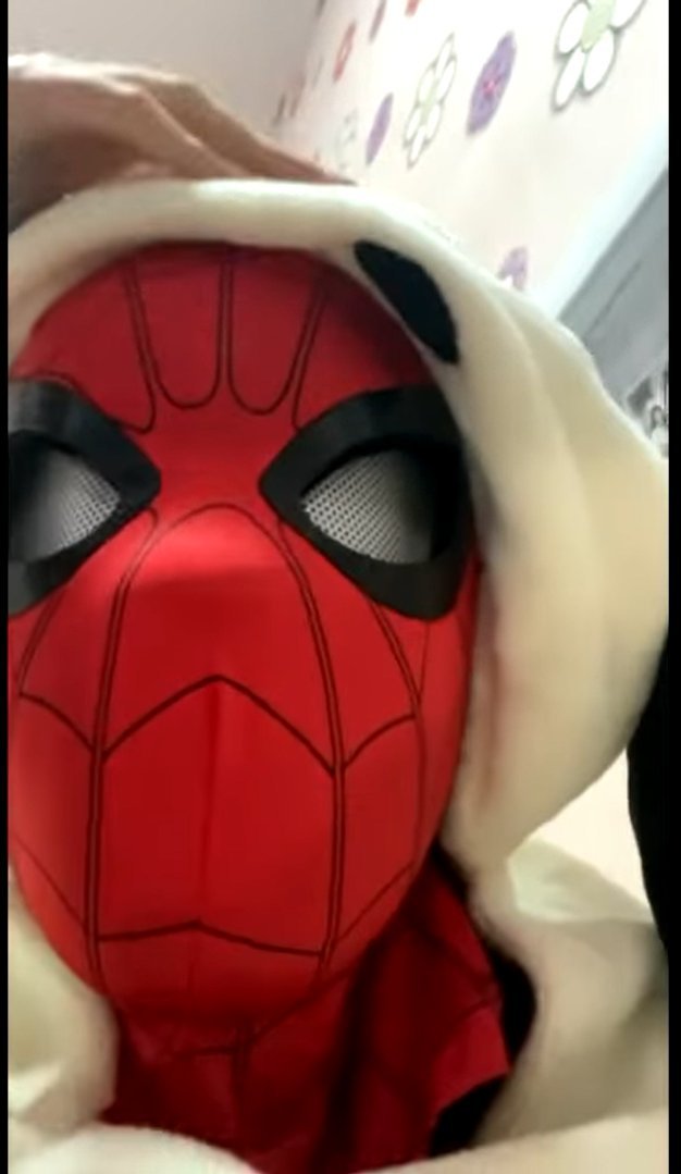 bospideyy's tweet photo. happy spidey day https://t.co/bUs3mqX3Jt