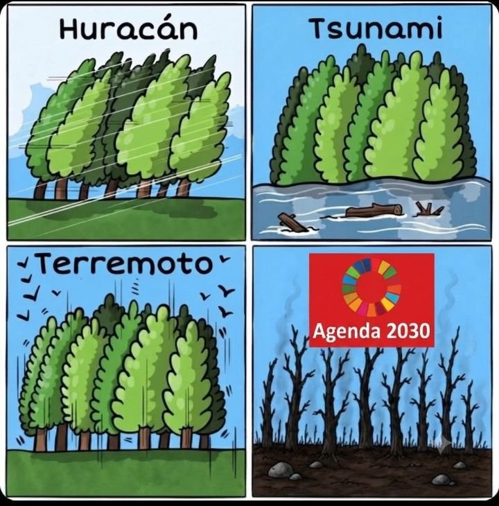 Subidón Asintomático tweet media