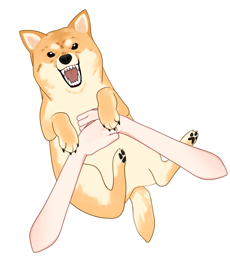 yu_un0620's tweet photo. 柴犬を抱っこする素材です😄
通常と威嚇モードがあるので、ご自由にお使いください✨ https://t.co/Wd2cyjbuYo