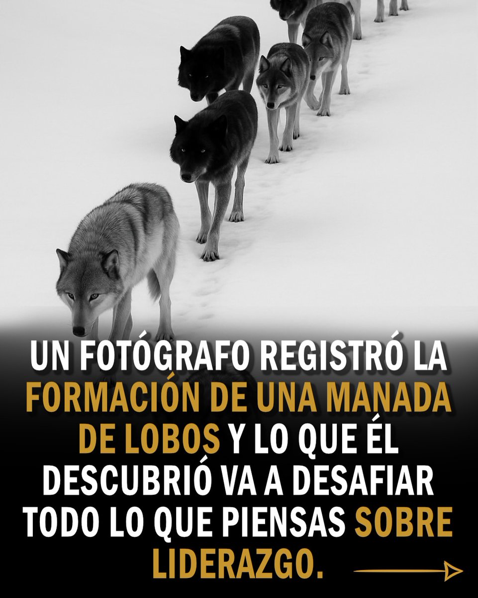 PolicarBizar's tweet photo. 1. https://t.co/BCOI64cnks