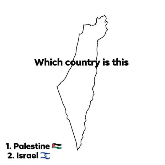 Naila Ayad🇵🇸 tweet media