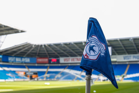 ThreeBluebirds_'s tweet photo. Aside from the Jens Hjertø-Dahl deal, Cardiff are ‘close’ to three new signings, which could be announced next week.

Behind-the-scenes, there is a growing confidence over the signing of Dahl from Tromsø.

The Bluebirds are actively strengthening midfield, the wings and striker. https://t.co/TPls2cXVov