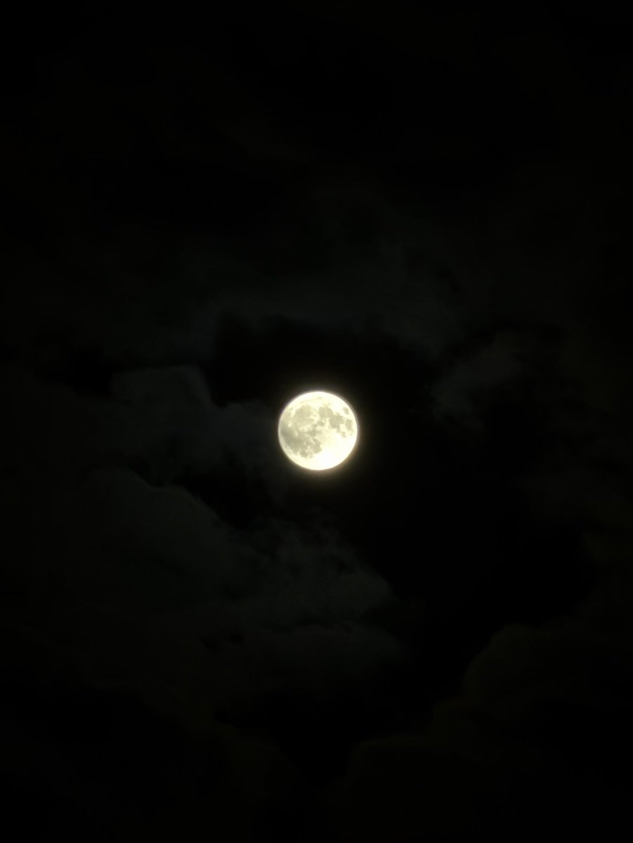 Sahara_ction's tweet photo. SORATOな気分🌕🐇

#iPhoneで撮影 https://t.co/7qEd0CmNfj