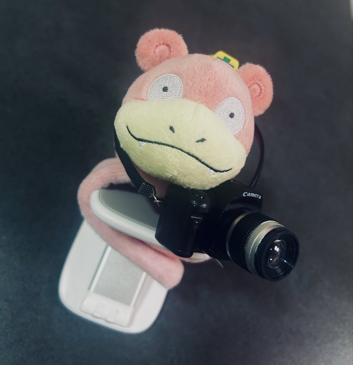 motoki9973's tweet photo. カメラ届いたけど、結構でかいな
紐も余るしちょっと括らないと… https://t.co/ZDVwA98JyR