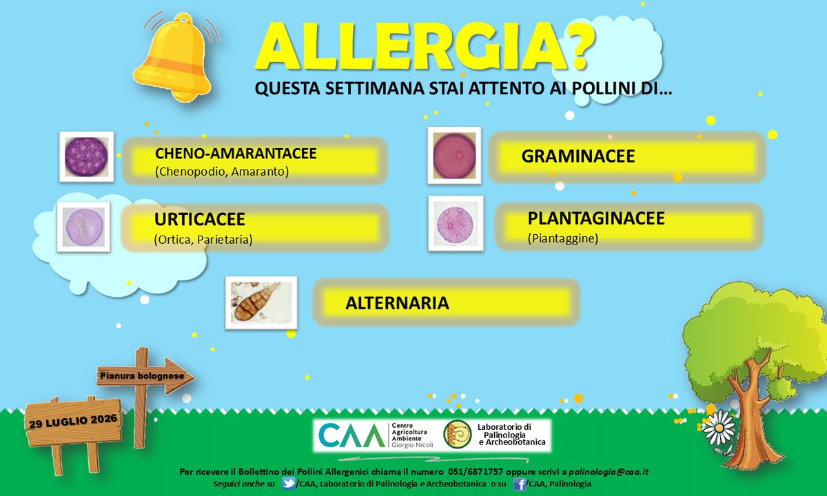 CAAPalinologia's tweet photo. Bollettino dei Pollini Allergenici - 29.07.26 per sapere  quali pollini sono presenti in aria! Per richiedere il Bollettino analitico scrivere a palinologia@caa.it (il servizio è riservato ai Comuni aderenti al progetto) #CAAPalinologia https://t.co/HXLXljHlhh