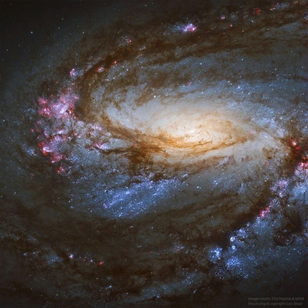 dr_robinmalloy's tweet photo. MIKRO UND MAKRO 🩸🧬🦠🧫🧪🌍🪐
National Aeronautics and Space Administration
Page Last Updated: JULY, 2026
#Universe #Science #Astronomy #Makro #Fascination Nature cells
brain kosmos Creation
quantum mind Biochemistry Philosophy Religion Awareness https://t.co/0Z3IrP6HKI