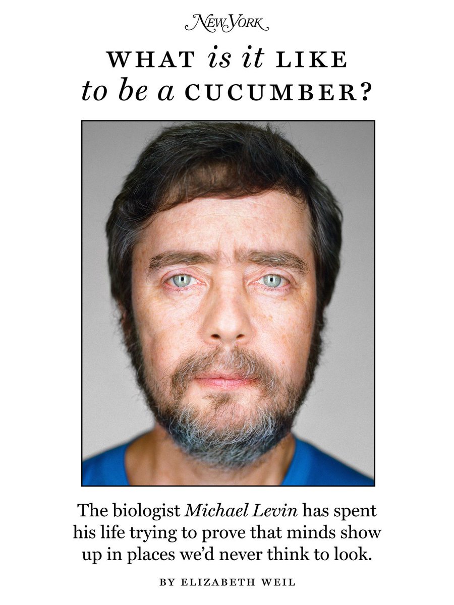 NYMag's tweet photo. Michael Levin did not expect to reach middle age and still be making a living as a biology professor. He figured his life trajectory would likely involve getting kicked out of the academy, as the academy is fond of people asking narrow questions, not boundary-crashing, precariously close-to-woo-sounding paradigmatic thinkers whose ideas strain the limits of language. Yet the opposite has happened — he’s become a foremost expert in his field, and to many, a cult hero.

Levin has been releasing his ideas slowly his entire adult life. Five years ago, he was at 50 percent. Now he’s at 80 percent. A big jump came last year when Levin published a preprint paper called “Ingressing Minds.” In it, he argues that intelligence comes from a nonphysical realm and flows (“ingresses”) into bodies. That nonphysical realm, he says, is where mathematical ideas like pi and e reside. We already accept there is some stuff in that realm. Why would we assume there is not more?

Critics accuse Levin of all kinds of teleological crimes — making unfalsifiable claims, using words in ways that render those words meaningless. Levin is unfazed. His true retort is his wet lab. There, at the bench, he’s working to prove his metaphysics by running old-school (in a way) biological experiments. He studies flatworms with two heads. Frogs with eyes on their stomachs. Little round creatures called xenobots, synthesized from frog skin cells. They swim like tiny Pac-Men. They do not exist in nature.

Elizabeth Weil spends time with the biologist who argues that your body has many minds: https://t.co/TaeRjReQLi