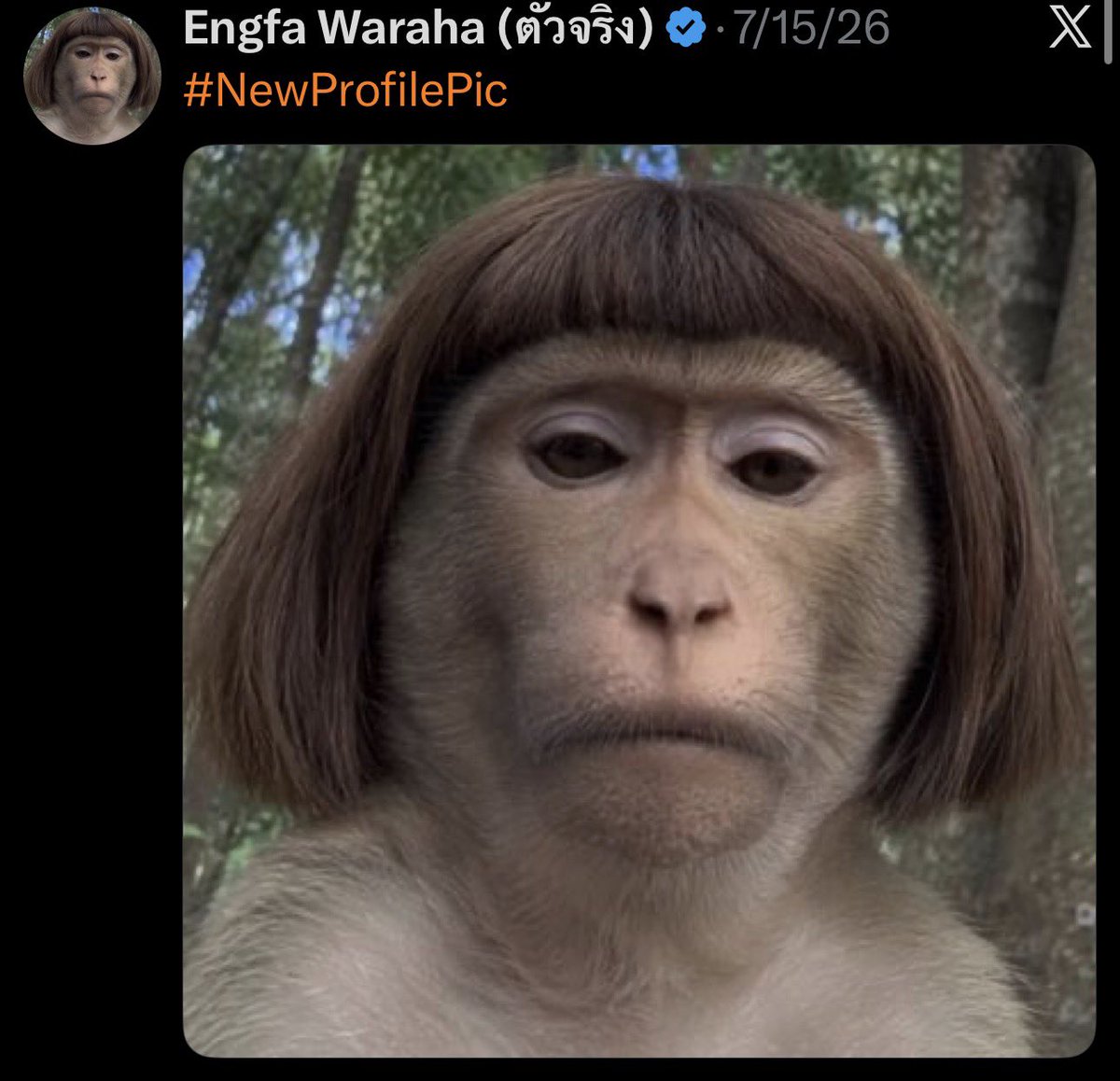 Fsomtui's tweet photo. คนที่รูปตัวจริงไม่ตรงปกสุดๆ 😌

#ENGFAx7thStreet #อิงฟ้ามหาชน @EWaraha https://t.co/TJUGQ0qKCL