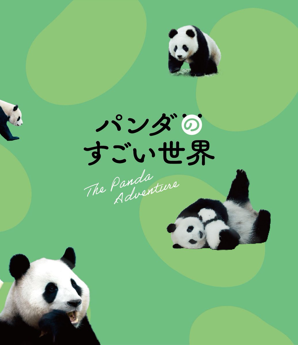 pandasmoviejp's tweet photo. 🌱🐼『#パンダのすごい世界』
パンダの日 10.28に Blu-ray発売！🐼 🐾

ꕤ通常版、豪華版、通常版 マグカップ付限定版、豪華版 マグカップ付限定版の4種が同時リリース！

❁豪華版
初回限定仕様：パンダ写真三方背ケース
ブックレット（24P）
ステッカー 付（予定）

❁マグカップ付限定版 https://t.co/6h3rgMDhSm