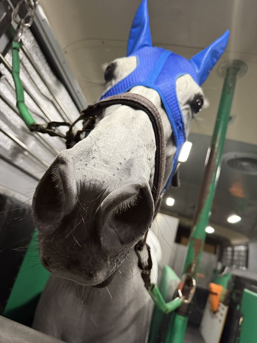 YOLO_Qmuin's tweet photo. 本日の担当馬成績！

門別競馬場 12R 旭岳賞
                ヒロシクン   2着 🥈

初めての遠征となったヒロシクン
いつも通りの逃げから自分の形に持ち込みましたが
相手は流石の絶対王者
力の差を見せつけられました
それでも今回も｢ヒロシクン｣できたかなと思います

ありがとう門別
帰ろうか https://t.co/XIIUghnWxZ