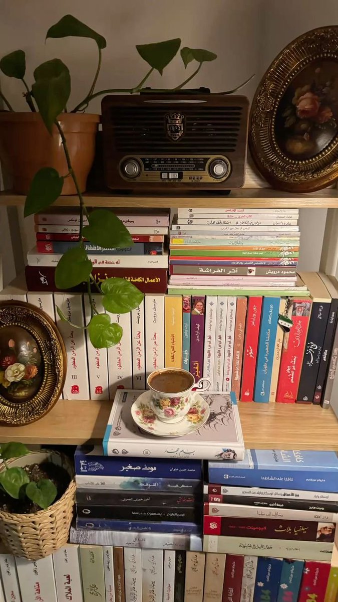 AnasB00ks's tweet photo. تخيّل إن لك رف في مكتبة وكل اللي عليه من اختيارك.
إيش أول خمسة كتب راح تحطها؟ 👀📚 https://t.co/PRr6jQytQi