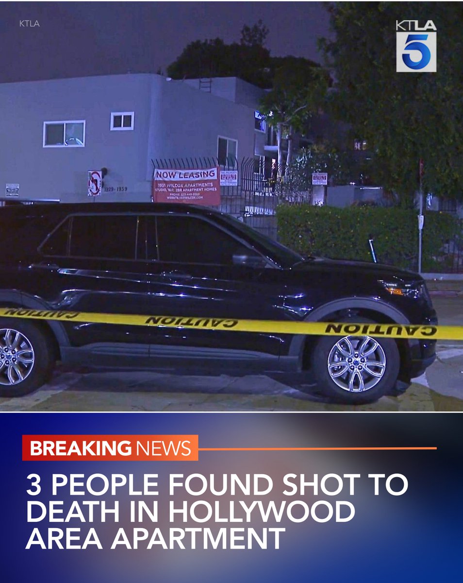 KTLA's tweet photo. DEVELOPING: A homicide investigation is underway after three people were found shot to death in a Hollywood-area apartment. https://t.co/Zqgn1e2lrb https://t.co/iJMKp167wx