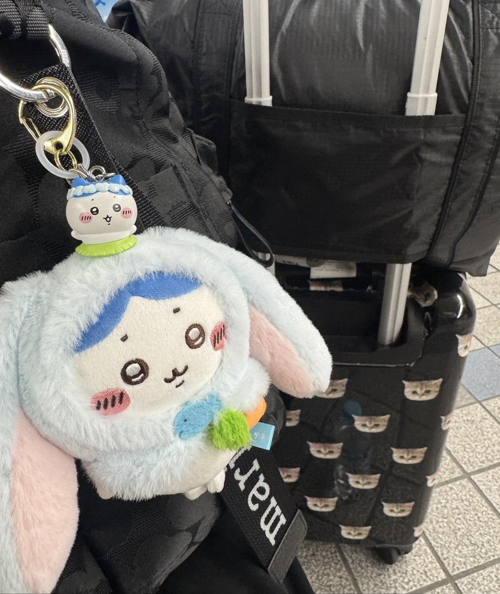 emiliahachiware's tweet photo. ただいま、大阪🛬 https://t.co/B3E2XRaUPu