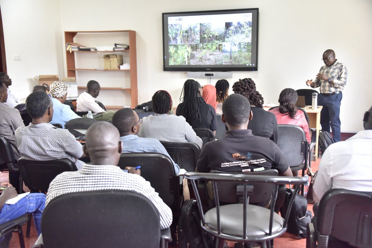 IITA_CGIAR's tweet photo. 📢 A Training Workshop on Diagnosis and Detection of Banana Bunchy Top Virus (BBTV) Infection in Bananas is #HappeningNow at Namalere post entry quarantine laboratory.  

#IITAUganda #PlantHealth #Banana https://t.co/89GqyWD5UY
