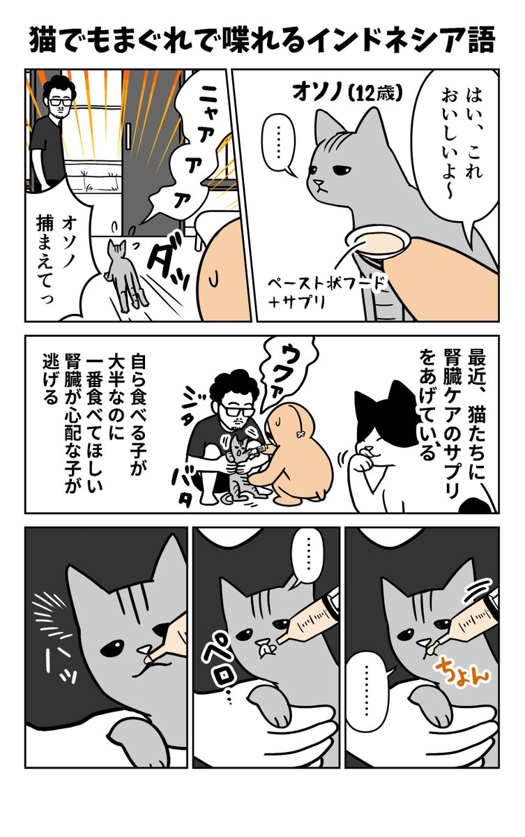 ama_kina's tweet photo. 猫でもまぐれで喋れるインドネシア語(1/2) https://t.co/rHm8TkyHef