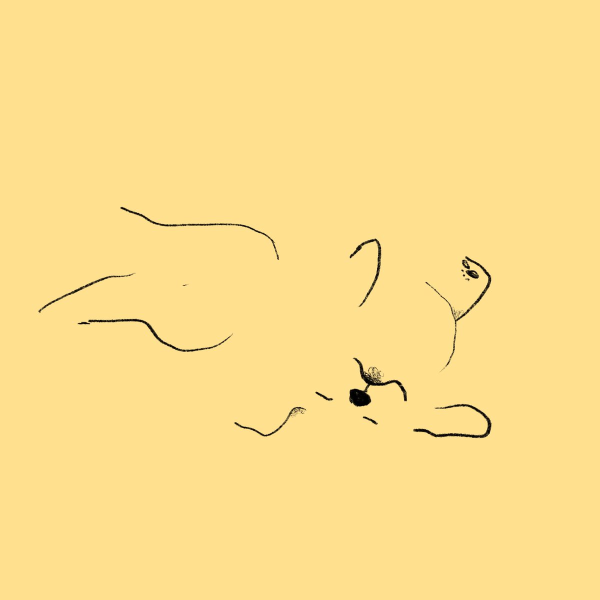 riposhima's tweet photo. スケッチすやすや犬 夏はしょっちゅう仰向け https://t.co/riyFA2l1GB