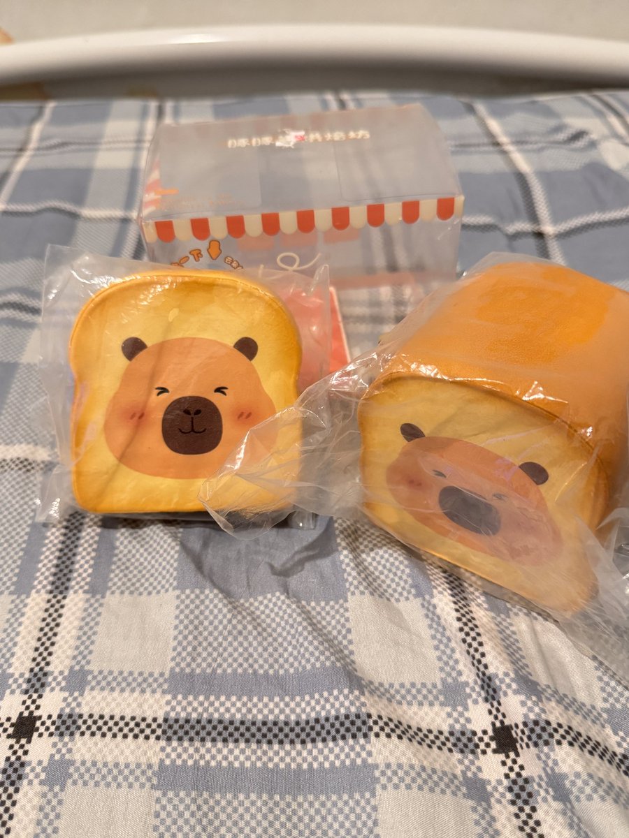 cipaaaaaah's tweet photo. WTS bisa shopee
dimoo granny wolf 280k
squishy roti 170k
squishy candy 85k https://t.co/nsUb6eXxTm
