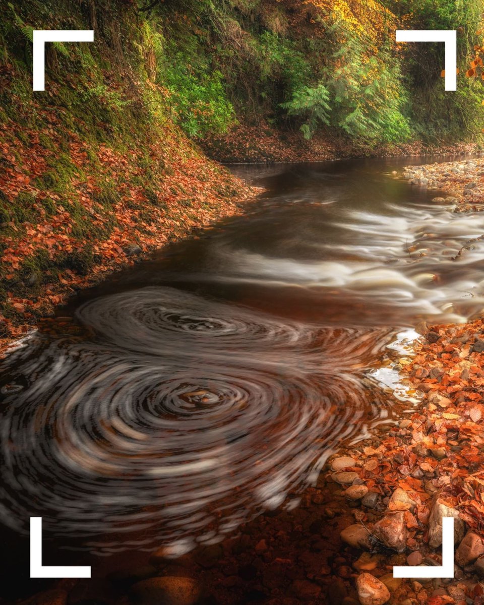 Picfair tweet picture