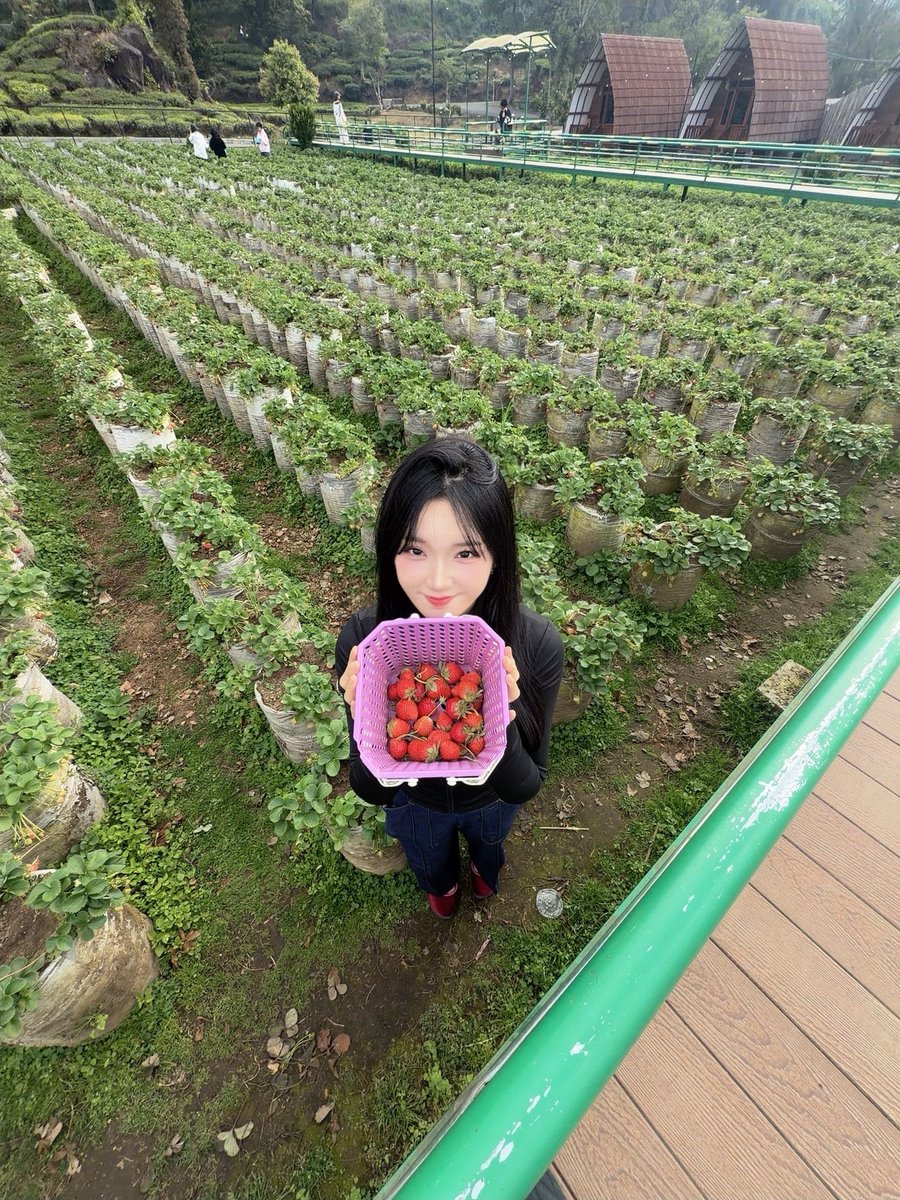 Delynn_JKT48's tweet photo. wts!! https://t.co/DJOwShDMhN