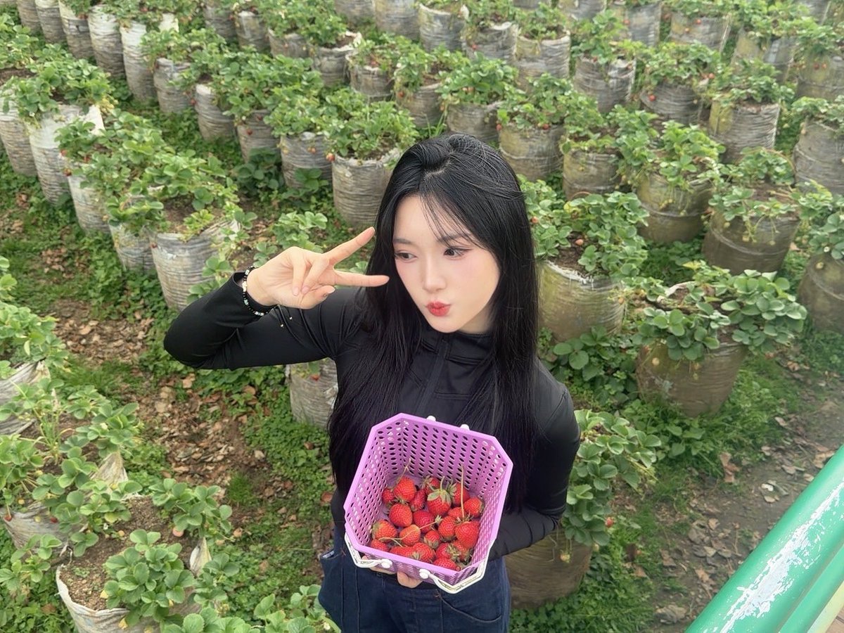 Delynn_JKT48's tweet photo. wts!! https://t.co/DJOwShDMhN