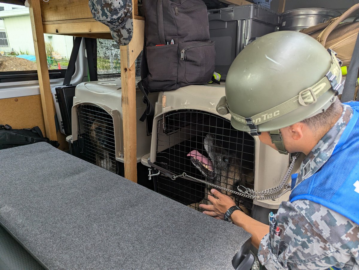 jasdf_wadf_adm's tweet photo. 新田原基地と築城基地所属の人員捜索犬の２頭が被災地での活動のために部隊を出発しました。
自衛隊員とともに、日頃の訓練の成果を発揮し、任務を全うします。
#航空自衛隊　#令和８年熊本地震 https://t.co/FITSXk1u3l