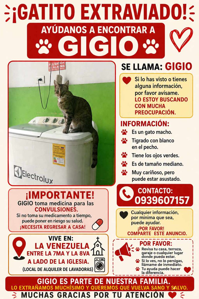 AlertaMePerdi's tweet photo. #PERDIDO #GUAYAQUIL
Nombre: #GIGIO
Fecha: 2026-07-22
Sector: Sur, Venezuela entre la 8va y la 7ma, por el parque Puerto Lisa
Sexo: Macho
Raza: Romano
Observación: Pecho blanco y en la cola una mancha morada de una medicina para una herida.
Contacto: 0939607157
#AlertaMePerdí https://t.co/mHaOSgB7jx