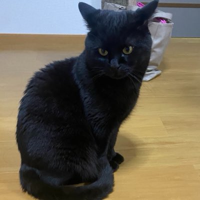 Kagune_67's tweet photo. #新しいプロフィール画像 https://t.co/N9BGLBFiHI