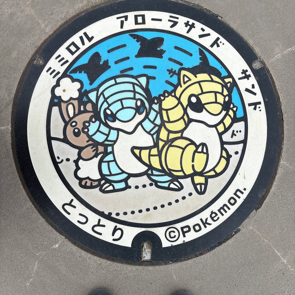 mtomoya0329's tweet photo. ポケふたも最近の趣味になってきてる🥰
遠出した時また見ようと思います(*'-'*)ﾉ" https://t.co/1F7xXYyw5m
