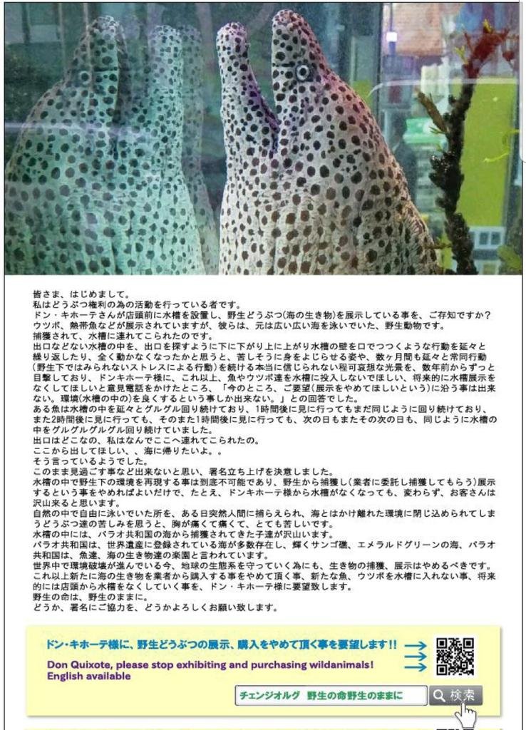 Sea_381 tweet picture