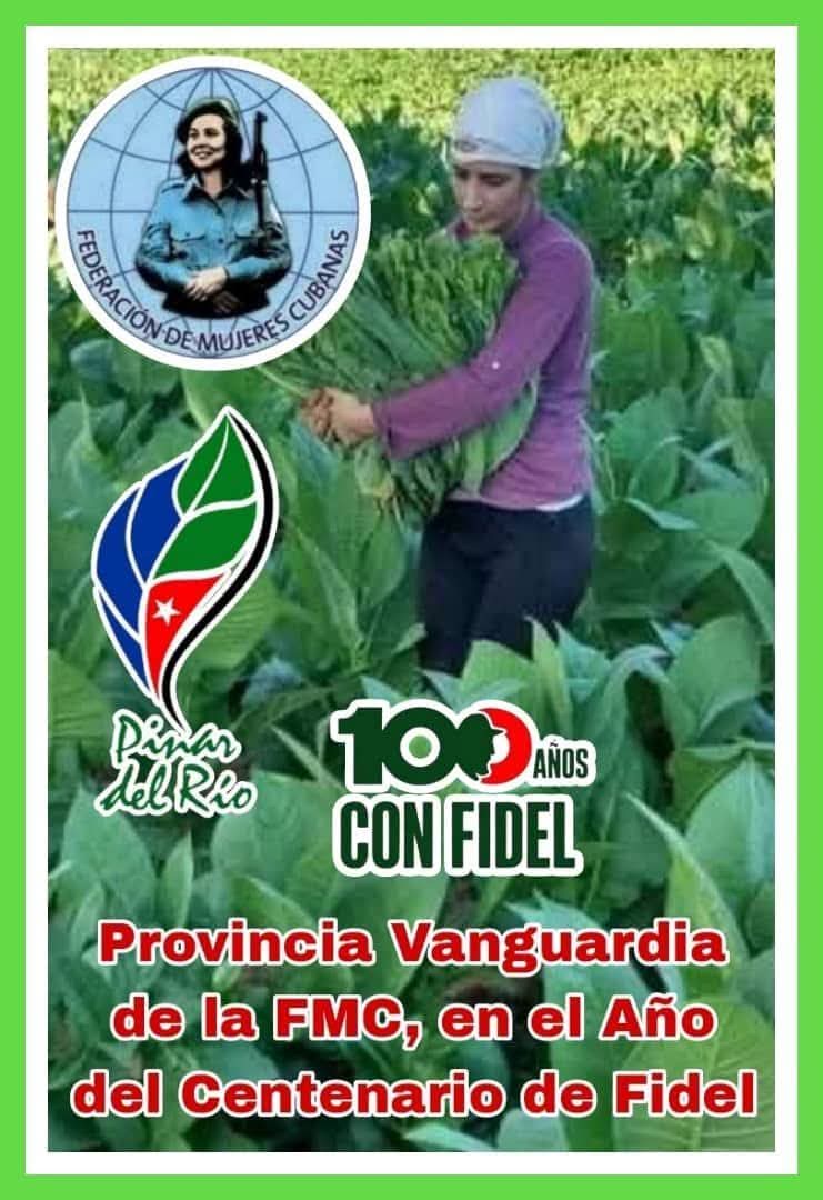 TelePinar's tweet photo. 🇨🇺👏🏻| @YamileRamosCord: Muchas felicidades a las mujeres pinareñas por obtener la condición de Vanguardia Nacional en la emulación por el aniversario 66 de la Federación de Mujeres Cubanas. 
#MujeresEnRevolución 
#PinardelRío https://t.co/LFqfJOdUDU