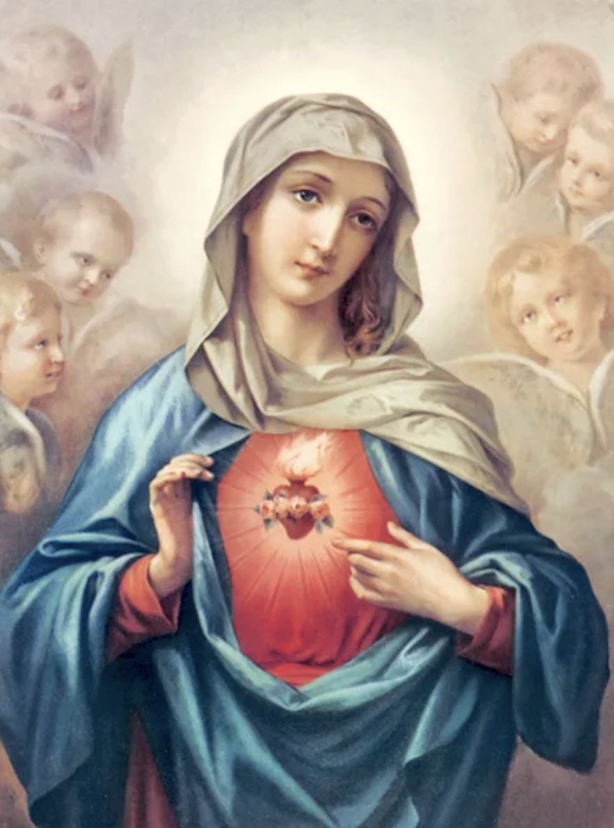 elhigadodmarita's tweet photo. No sé si las apariciones en Medjugorge sean reales por lo mismo evitaré centrar la discusión en eso. Lo que es central: ¿contra quién es el ataque? Contra Nuestra Santísima Madre, la Virgen María, Madre de Dios y madre nuestra.

El enemigo inmundo SABE que ha perdido. El derrotado jamás ataca a quien considera inferior, muy por el contrario, intenta por todos los medios, destruir a quien le opaca, le recuerda su nivel inferior y sobre todo, que ha sido aplastado. Nuestra Señora es muy precisa en esto:

«Al final, mi Inmaculado Corazón triunfará». 
Santa Virgen María Corredentora, Medianera de todas las Gracias y Abogada Nuestra.

Inmaculado Corazón de María, ¡sed la salvación del alma mía!