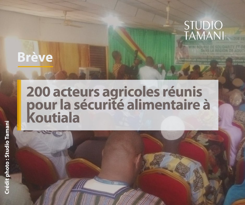 StudioTamani's tweet photo. #Mali Une bourse de solidarité et de résilience des populations est en cours à #Koutiala. L’objectif est de renforcer la sécurité alimentaire et la résilience économique des communautés.
𝐀 𝐥𝐢𝐫𝐞 𝐬𝐮𝐫 👇 https://t.co/aQ6XxsTAHq https://t.co/3gDlpSwXtI