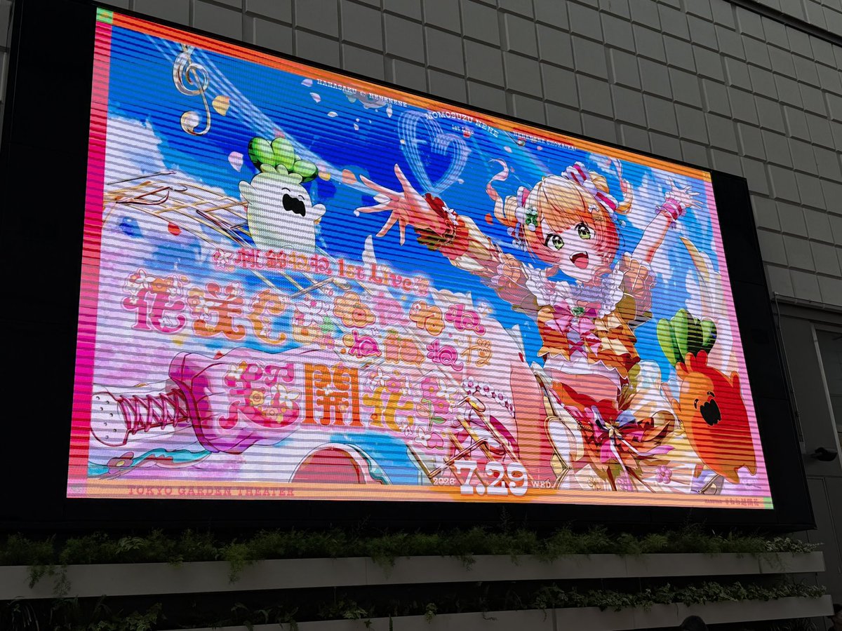 Ramune_1038's tweet photo. ねねちの夢のソロライブに参加してきました〜✨✨
セトリが激アツすぎ！！
OBPもブルクラもギラファもねねちと一緒にいっぱい踊って最高の時間でした！！
 #ねね超開花 https://t.co/70k4d50QKk