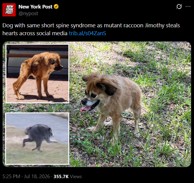 Tilly tweet media