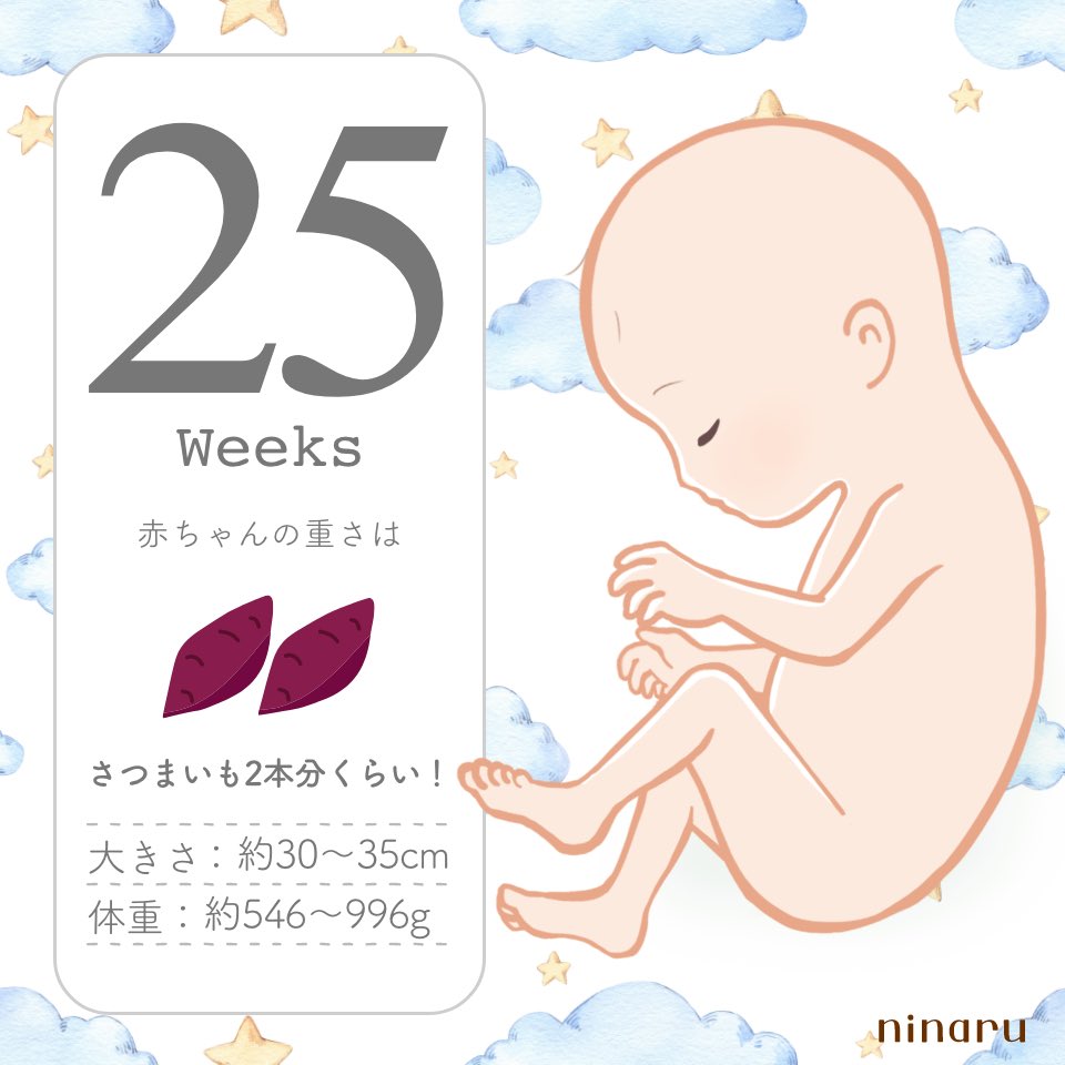 11cola_'s tweet photo. 25週( ◠·◠)ა https://t.co/y6cBZz5lme