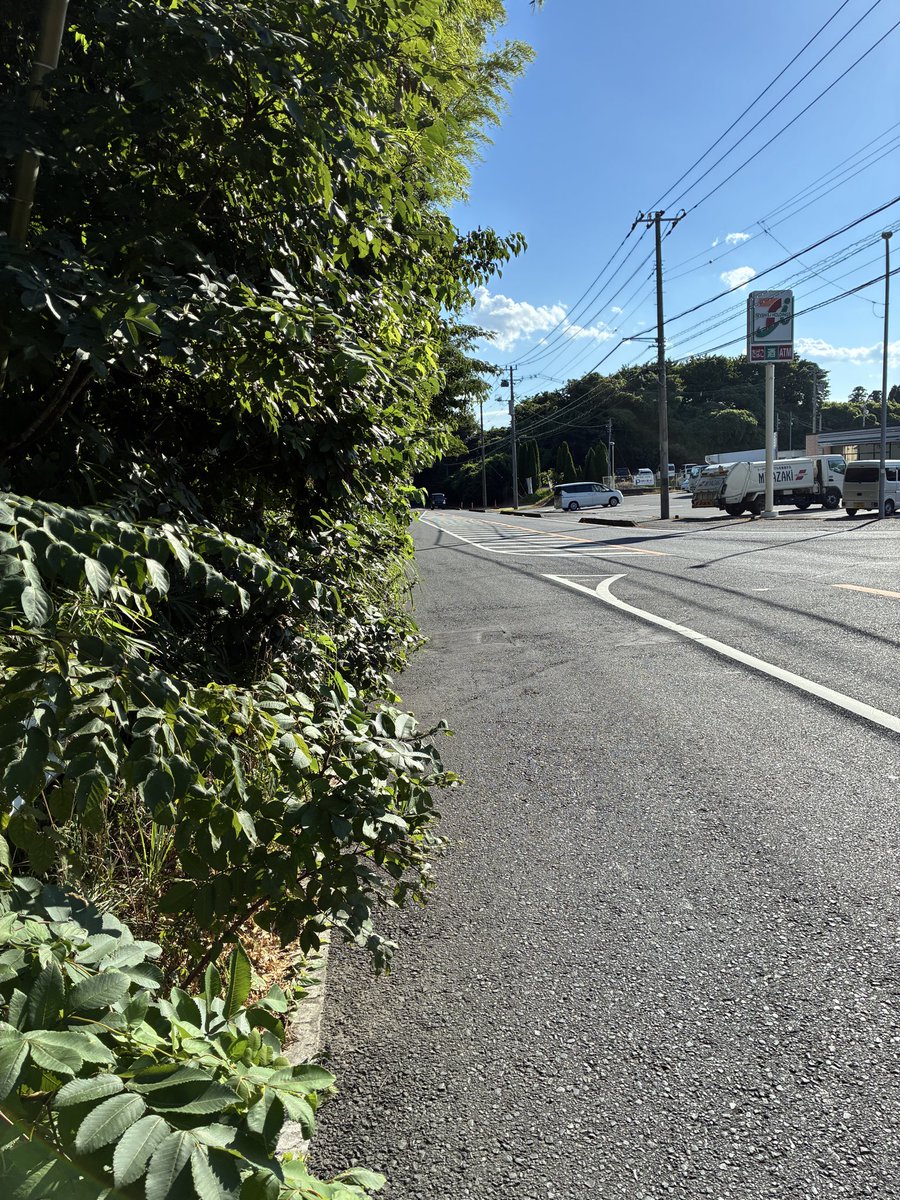 irie_akiko's tweet photo. こんばんは。
今日は、午前中に９月議会代表質問勉強会を終え、午後から「出前立憲民主党」の活動のため、酒々井町役場を訪問しました。

金塚町長から、県への要望事項として、道路整備にかかわる２箇所の重点要望を承り、意見交換。
町長から、酒々井の歴史や自然を財産と捉え、継承していくためのビジョンと方策が熱く語られました。

立憲民主党所属の白井のりくに町議、伊藤ちかこ県議に加え、川島邦彦町議と長浜参議院議員事務所の鈴木秘書にもご同席いただきました。

終了後、川島町議から指摘された県道宗吾酒々井線の問題箇所を現地調査しました。
改善に向けて、印旛土木事務所に働きかけていきます。

#入江あき子  #酒々井町  #出前立憲民主党  #立憲民主党