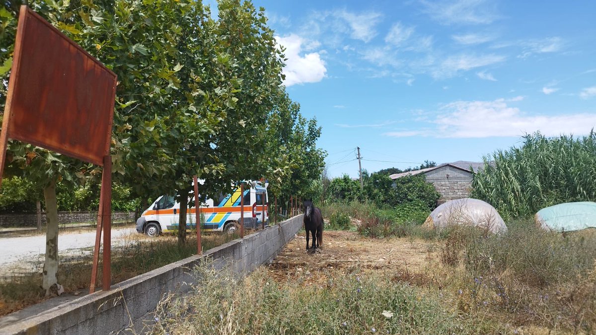 UNDPAlbania's tweet photo. These firsthand observations will sharpen risk analysis,pinpoint each municipality's needs&shape the next phase of Disaster Risk Reduction strategies.The 5 municipalities of Shkodër Region&Prefecture benefit fr/technical assistance of #RESEAL
@SECO_CH @SwedeninAL
Govs of 🇦🇱🇵🇹 https://t.co/GamCVioGt4